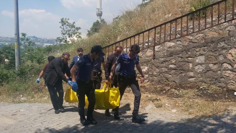 Çaliliga Kaçan Topunu Almak İsteyen Çocuk